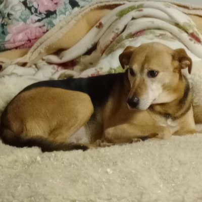 99aa05f5-f75e-42a0-bfa4-a7b3f1d8fc7d