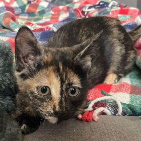 9e32db7b-2676-49d8-bbeb-ee461c21ea10