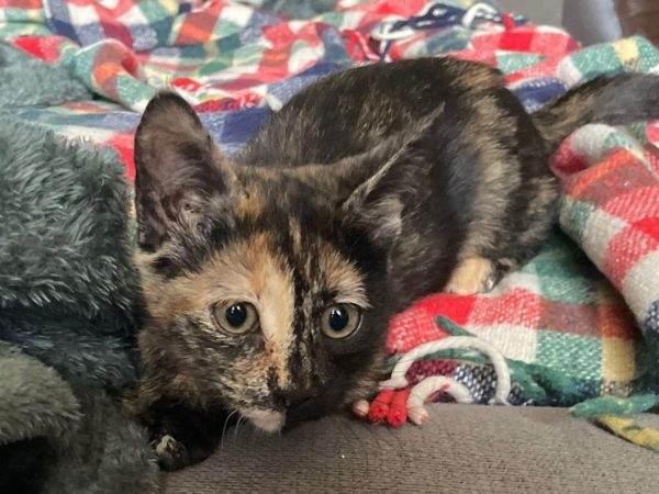 9e32db7b-2676-49d8-bbeb-ee461c21ea10