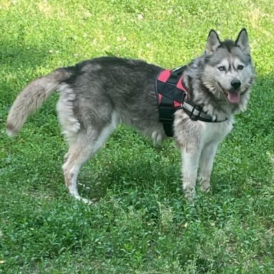 ATHENA