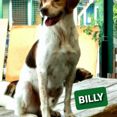 BILLY 1