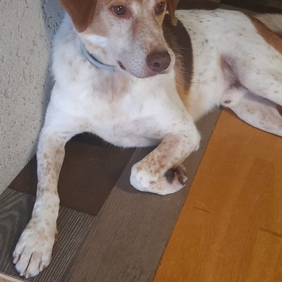 BILLY 2