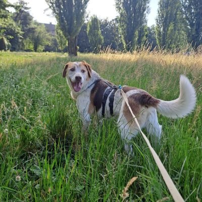 BILLY1