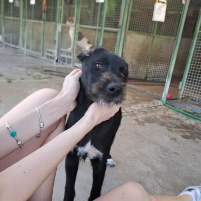 DARKO1