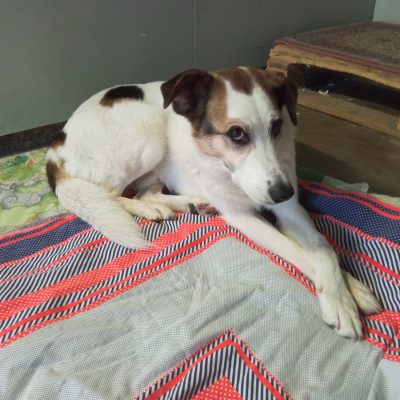 Immagine WhatsApp 2025-06-08 ore 20.40.43_c54f3b87