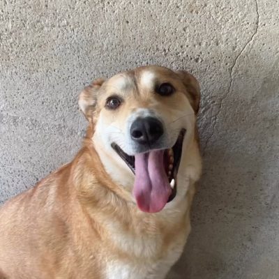 Immagine WhatsApp 2025-08-26 ore 21.02.26_4fd85507