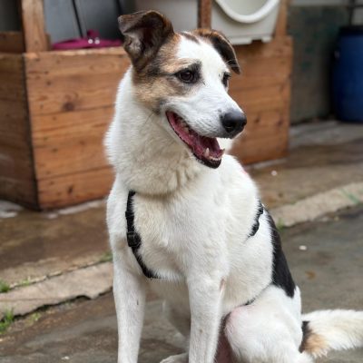 Immagine WhatsApp 2025-08-28 ore 18.20.32_2792cd61