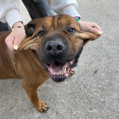 Immagine WhatsApp 2025-08-29 ore 14.14.02_0e81963d