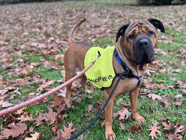 Immagine WhatsApp 2025-09-15 ore 11.17.58_5ea389e8