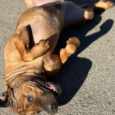 Immagine WhatsApp 2025-09-15 ore 11.172.58_14171bac