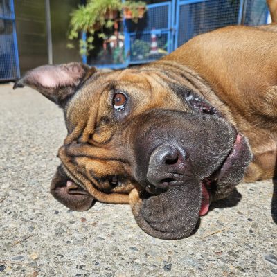 Immagine WhatsApp 2025-09-22 ore 13.20.52_991c61e4