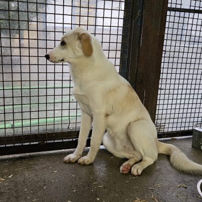 Immagine WhatsApp 2025-11-16 ore 20.19.32_5f2c6214