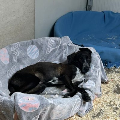 Immagine WhatsApp 2025-11-19 ore 11.03.42_239629e1