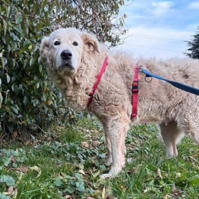 Immagine WhatsApp 2025-11-19 ore 18.58.42_bbe1ca85