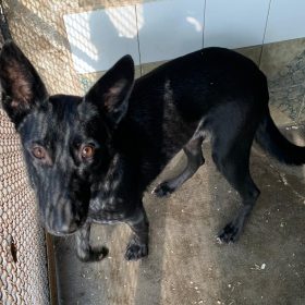 Immagine WhatsApp 2025-11-23 ore 12.17.55_9300ae2f