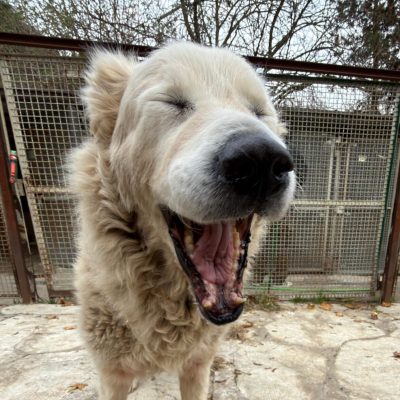 Immagine WhatsApp 2025-11-23 ore 19.11.04_5dab32e8