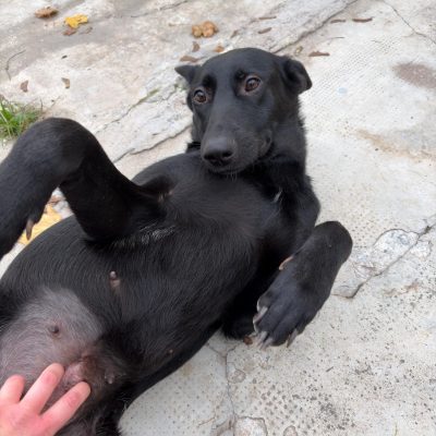 Immagine WhatsApp 2025-11-23 ore 19.11.06_5d19d78a