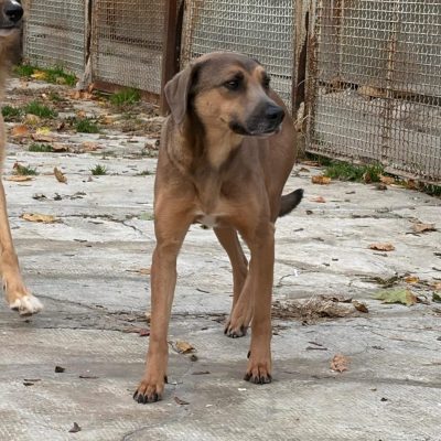 Immagine WhatsApp 2025-11-23 ore 19.11.12_369b6bb6