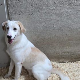 Immagine WhatsApp 2025-11-25 ore 12.55.14_9f728627