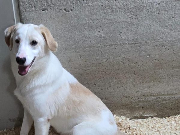 Immagine WhatsApp 2025-11-25 ore 12.55.14_9f728627