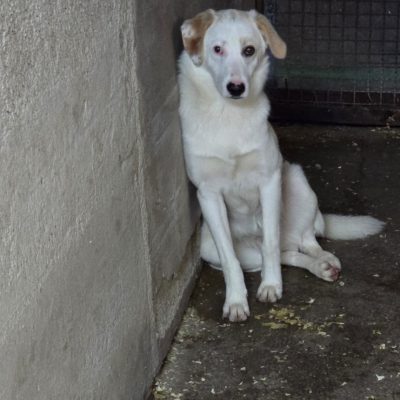 Immagine WhatsApp 2025-11-25 ore 12.56.46_d78773e61