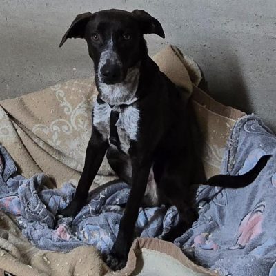 Immagine WhatsApp 2025-11-25 ore 12.57.51_ba053f52