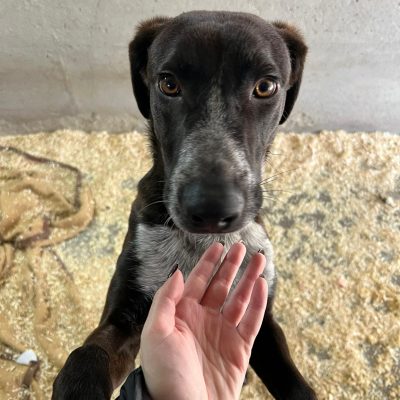 Immagine WhatsApp 2025-11-25 ore 12.58.21_e0ca86a6