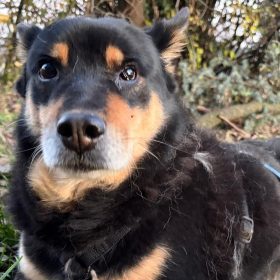 Immagine WhatsApp 2025-12-06 ore 11.47.59_0b59a436