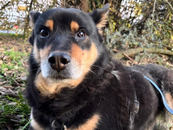 Immagine WhatsApp 2025-12-06 ore 11.47.59_0b59a436