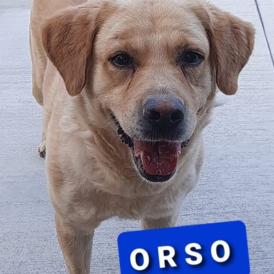ORSO 1
