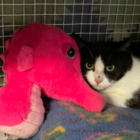 Schermata 2025-12-03 alle 22.07.05