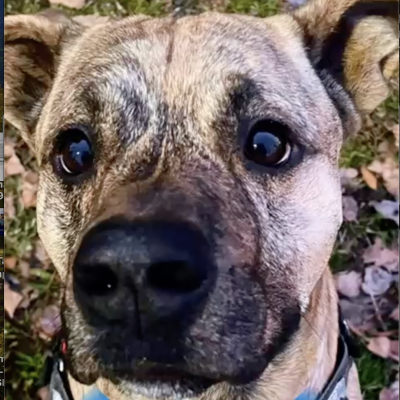 Screenshot 2025-07-05 alle 18.48.13