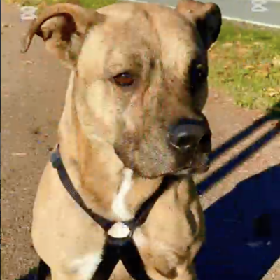 Screenshot 2025-07-05 alle 18.48.35