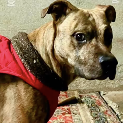 Screenshot 2025-07-05 alle 18.49.13