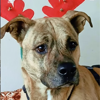 Screenshot 2025-07-05 alle 18.49.34