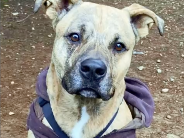 Screenshot 2025-07-05 alle 18.49.50