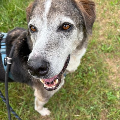 WhatsApp Image 2025-06-27 at 13.30.19 (2)