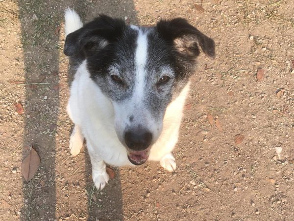 WhatsApp Image 2025-06-27 at 13.30.19