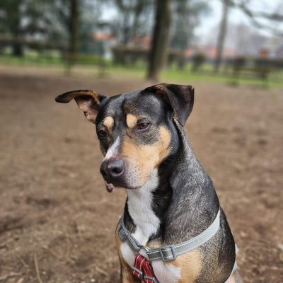 WhatsApp Image 2025-06-27 at 13.30.20