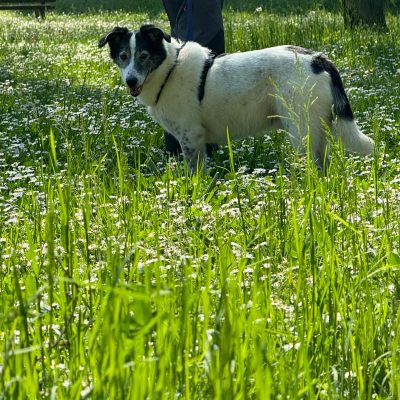 WhatsApp Image 2025-06-27 at 15.11.24 (6)