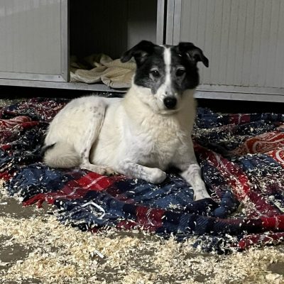 WhatsApp Image 2025-06-27 at 15.11.24 (7)