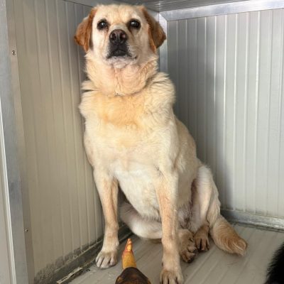 WhatsApp Image 2025-06-29 at 15.15.06 (2)