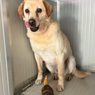 WhatsApp Image 2025-06-29 at 15.15.06 (3)