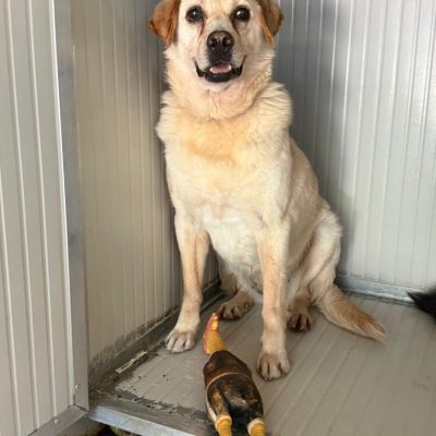 WhatsApp Image 2025-06-29 at 15.15.06 (4)