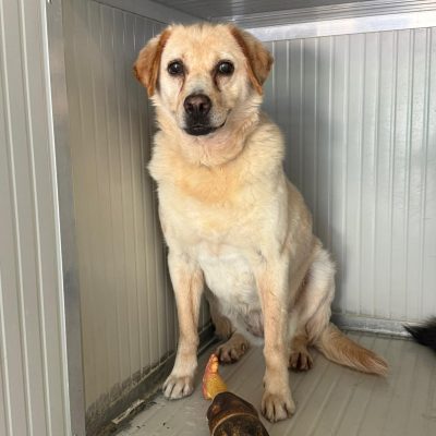 WhatsApp Image 2025-06-29 at 15.15.06 (5)