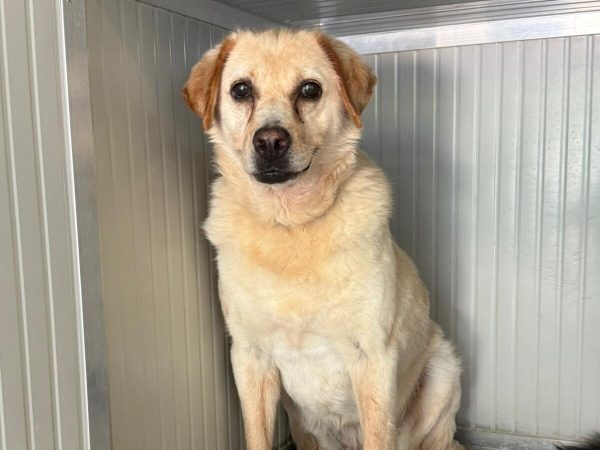 WhatsApp Image 2025-06-29 at 15.15.06 (5)