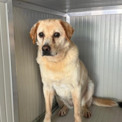 WhatsApp Image 2025-06-29 at 15.15.07 (1)