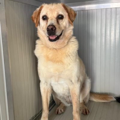 WhatsApp Image 2025-06-29 at 15.15.07 (2)