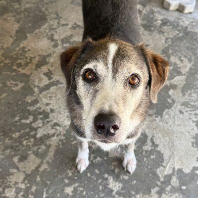 WhatsApp Image 2025-06-29 at 15.15.09 (1)