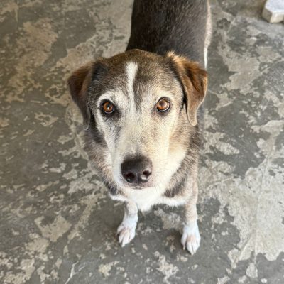 WhatsApp Image 2025-06-29 at 15.15.09 (2)